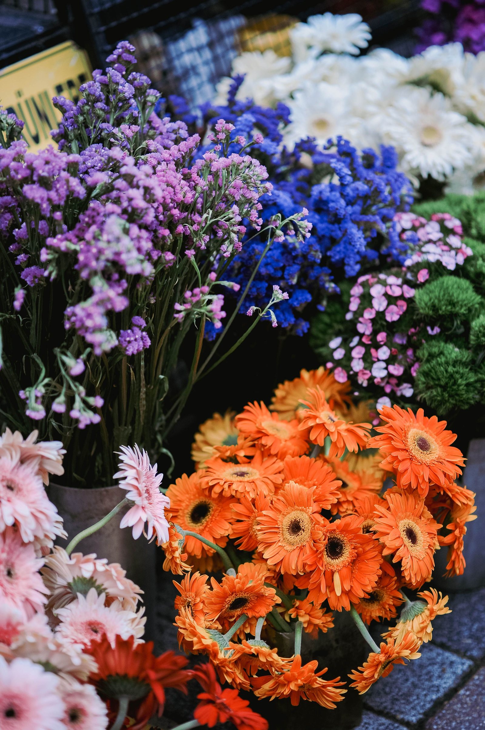 Colourful fresh flowers